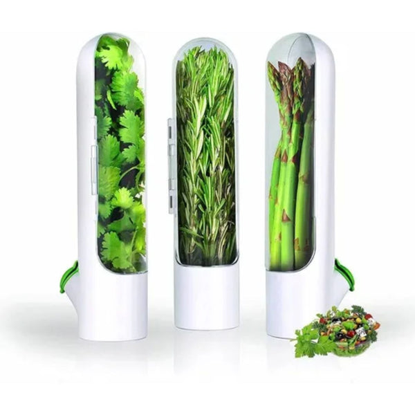 Increíble Recipiente Para Conservar Hierbas