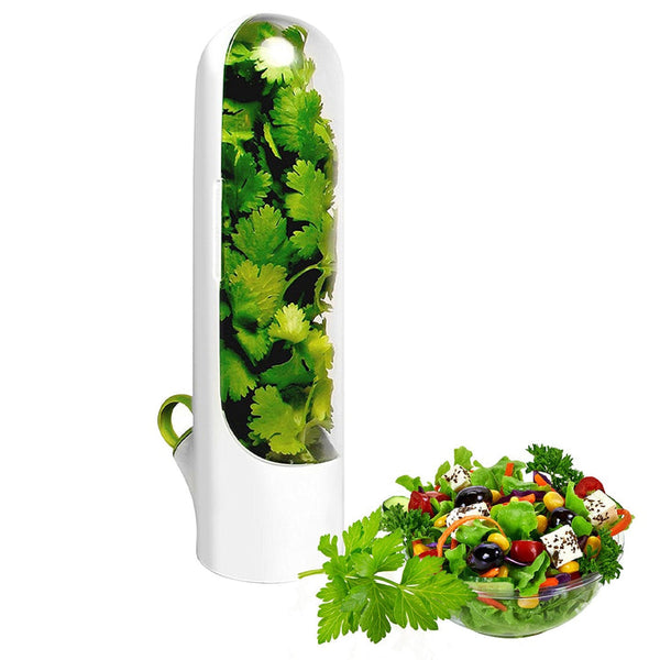 Increíble Recipiente Para Conservar Hierbas