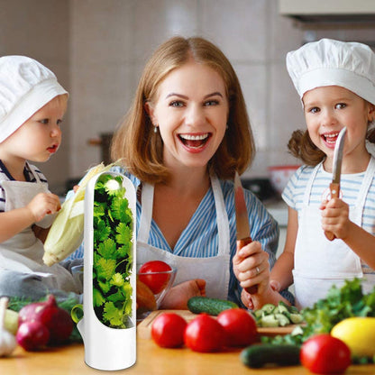 Increíble Recipiente Para Conservar Hierbas